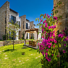 Dadya Bora Hotel